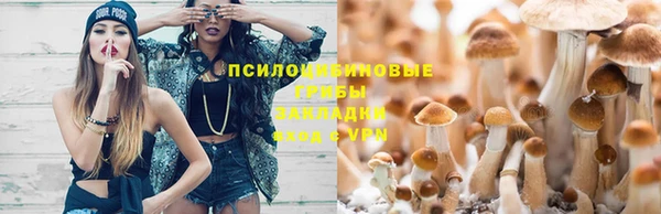 не бодяженный Кодинск