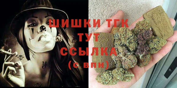 молекула духа Козельск