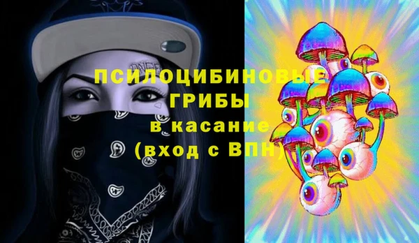 молекула духа Козельск
