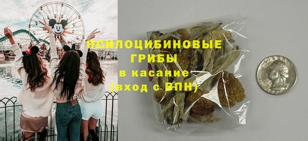 молекула духа Козельск